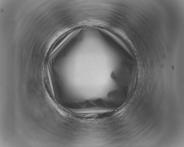 X0000053061040200508011909