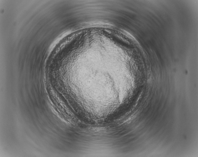 X0000053061043200508011909