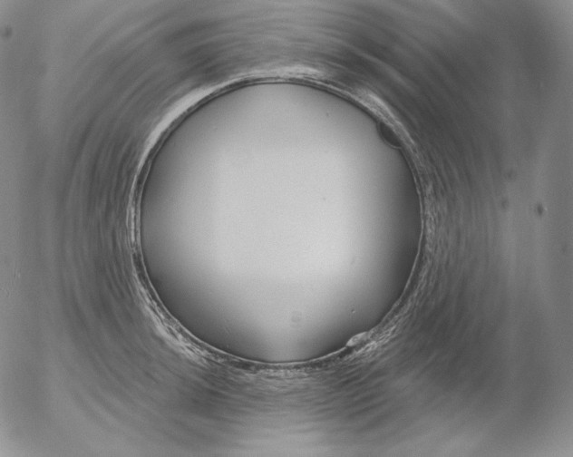 X0000053061044200508011909