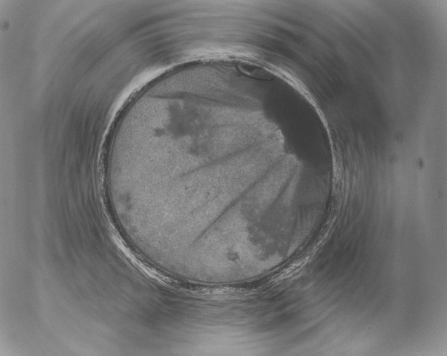 X0000053061045200508011909