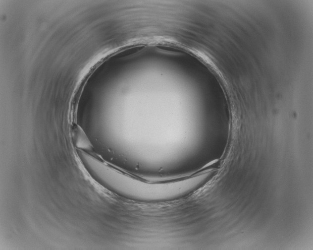 X0000053061046200508011909