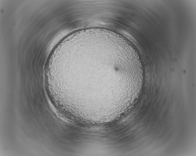 X0000053061047200508011909