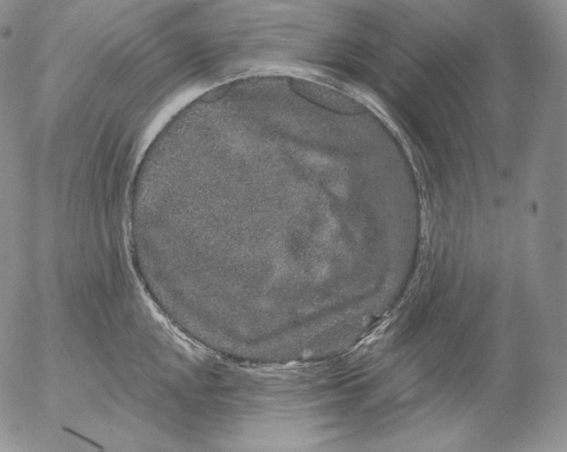 X0000053061048200508011909