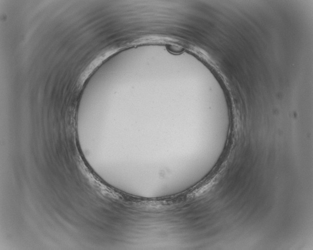 X0000053061049200508011909