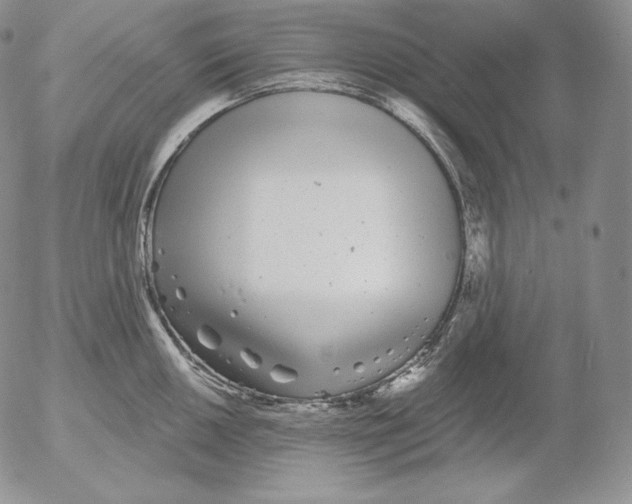 X0000053061050200508011909