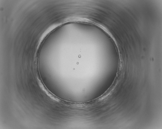 X0000053061053200508011909