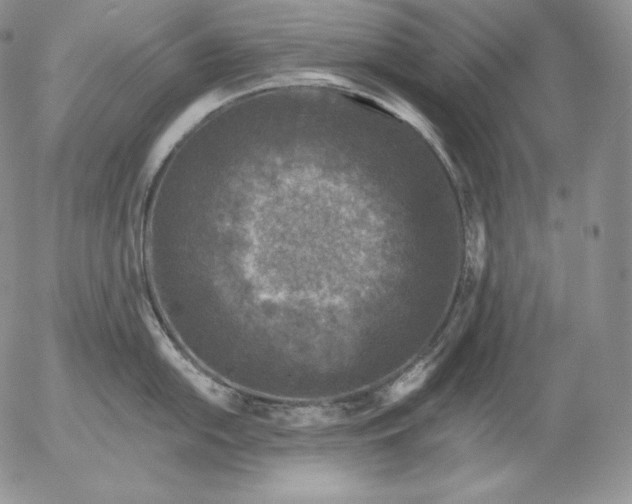 X0000053061054200508011909