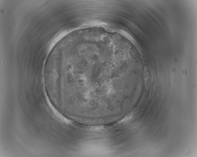 X0000053061055200508011909