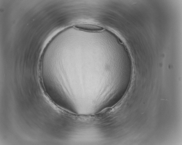 X0000053061056200508011909