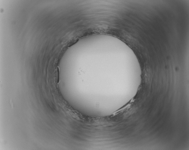 X0000053061057200508011908