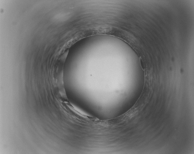 X0000053061058200508011908