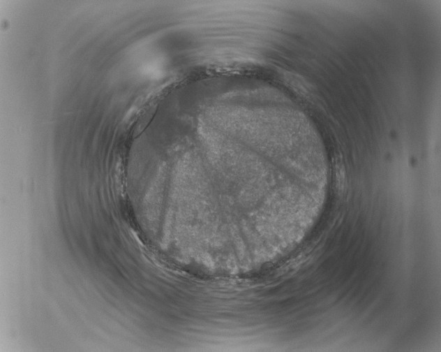 X0000053061060200508011908