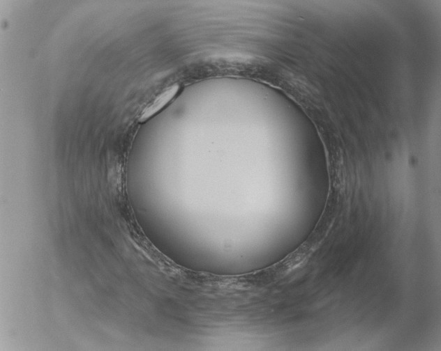 X0000053061061200508011908