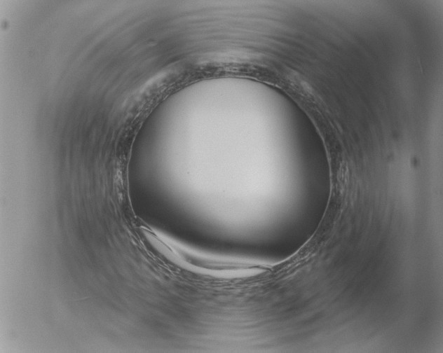 X0000053061062200508011908