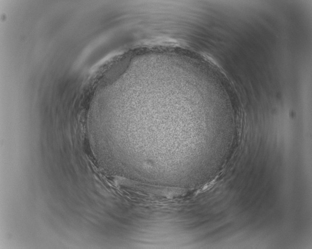 X0000053061063200508011908