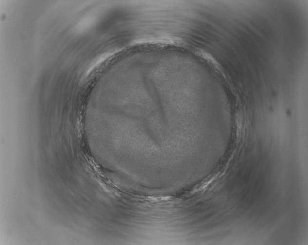 X0000053061064200508011908