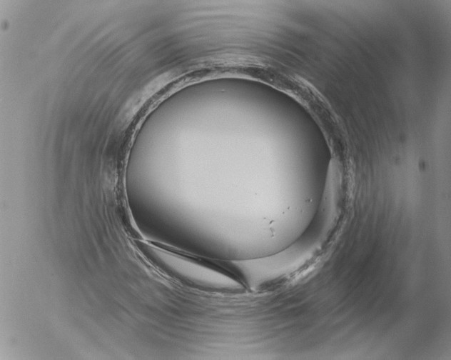 X0000053061065200508011908