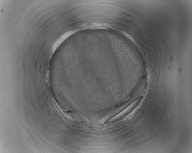 X0000053061066200508011908