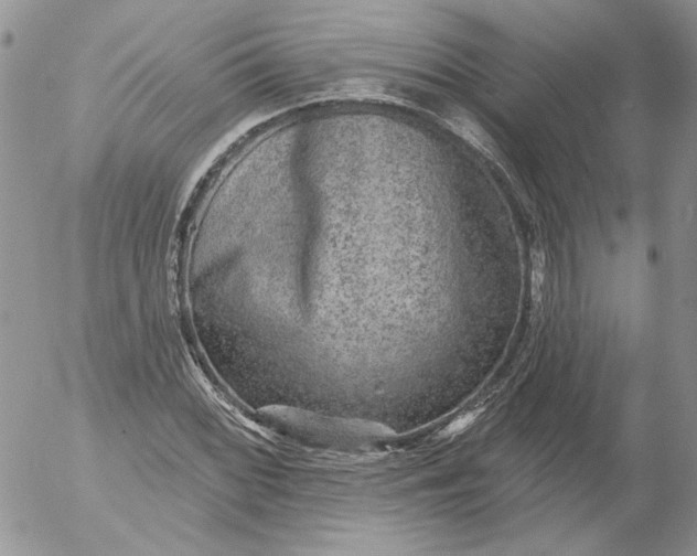 X0000053061068200508011908