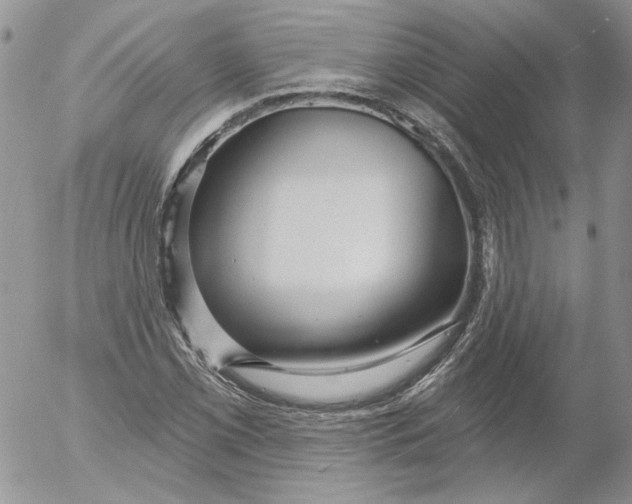 X0000053061069200508011908