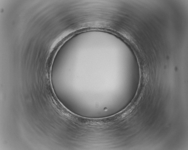 X0000053061070200508011908