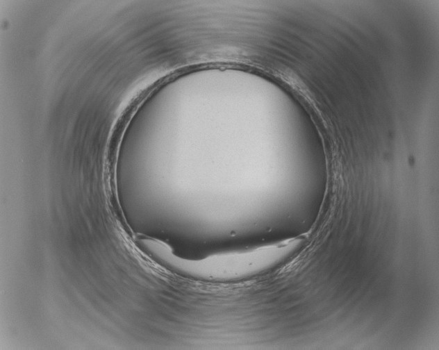 X0000053061072200508011908