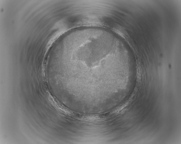 X0000053061074200508011908