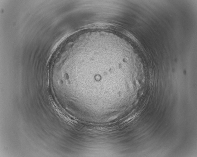 X0000053061075200508011908