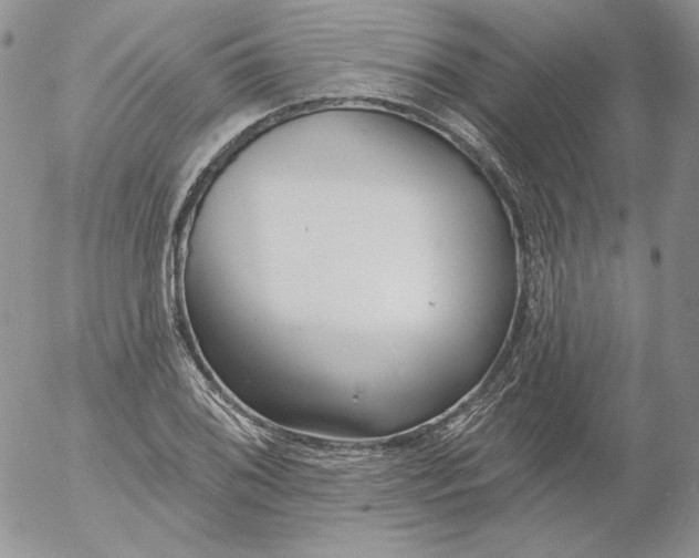 X0000053061076200508011908