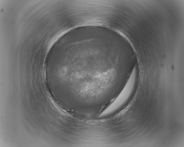 X0000053061077200508011908