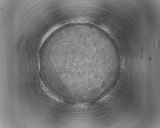 X0000053061078200508011908