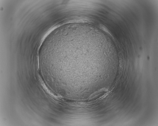 X0000053061079200508011908