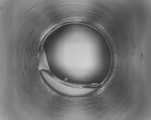 X0000053061081200508011908