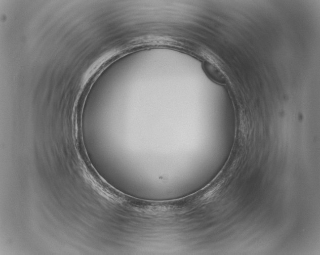 X0000053061082200508011908