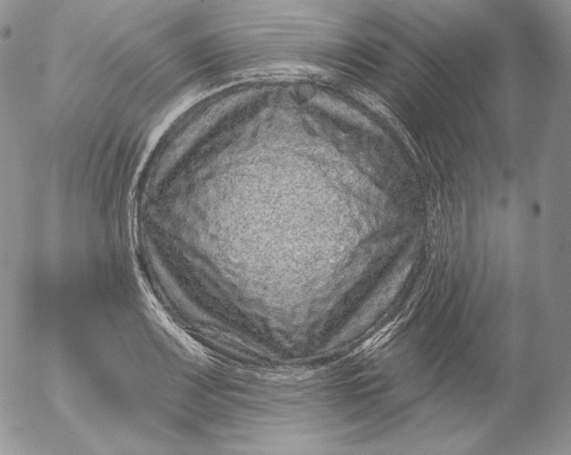 X0000053061083200508011908