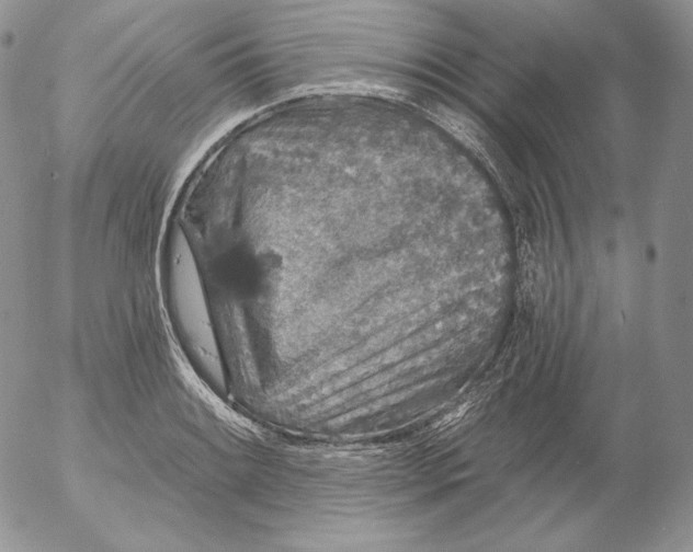 X0000053061084200508011908