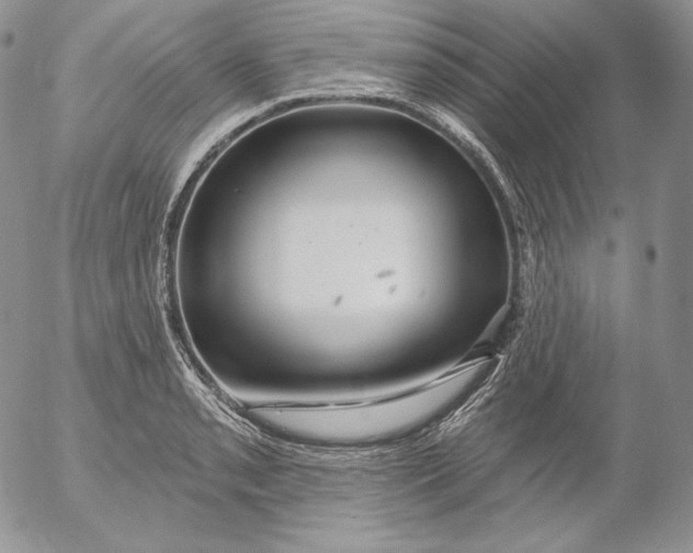 X0000053061085200508011908