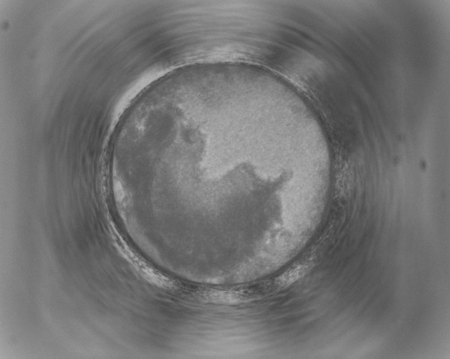 X0000053061086200508011908