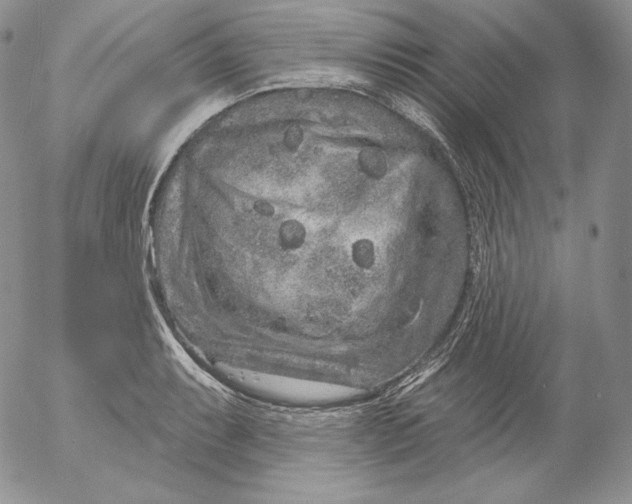 X0000053061087200508011908