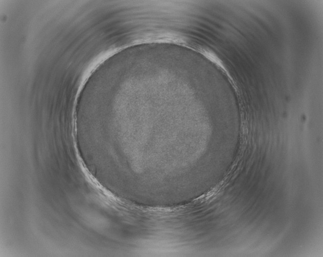 X0000053061088200508011908