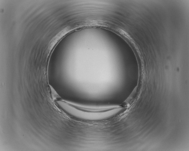 X0000053061089200508011908