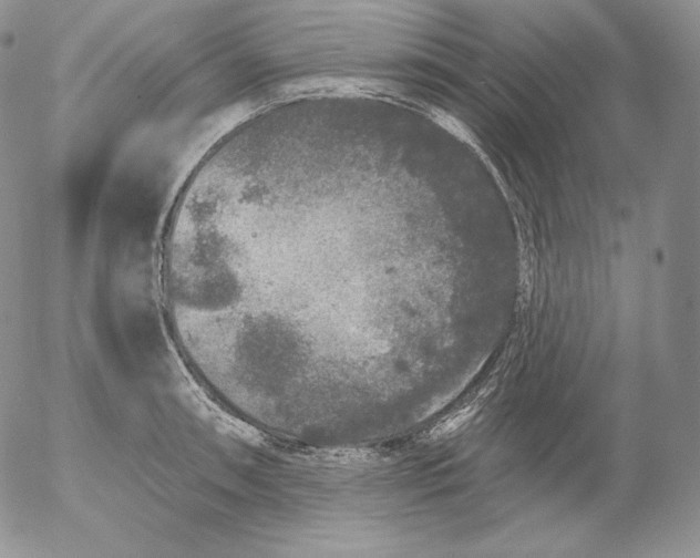 X0000053061090200508011908