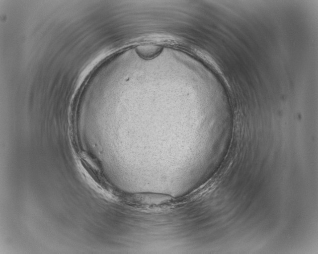 X0000053061091200508011908