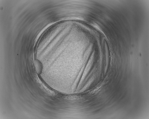 X0000053061092200508011907