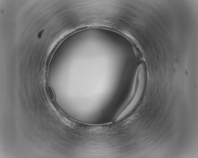 X0000053061093200508011907