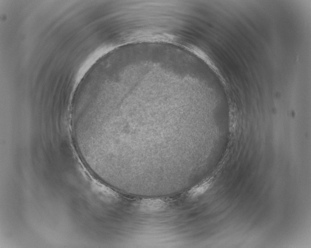 X0000053061094200508011907