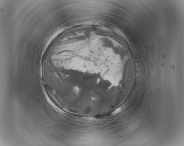 X0000053061095200508011907