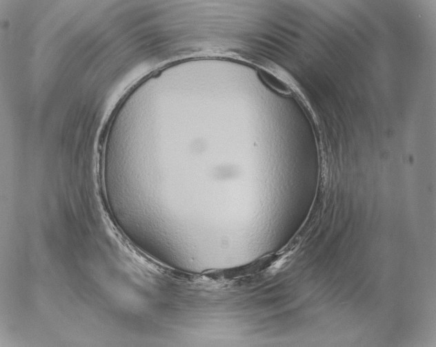 X0000053061096200508011907