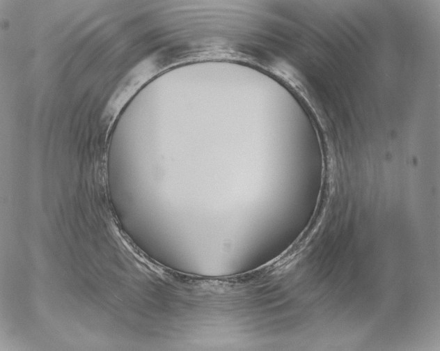 X0000053061097200508011907