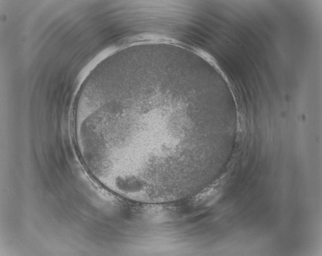 X0000053061098200508011907